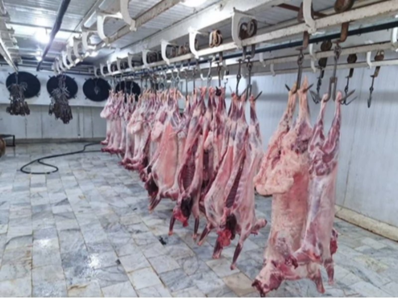 فعالیت کشتارگاه زرین‌آباد ازسرگرفته شد