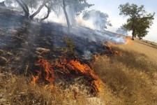 آتش سوزی جنگل‌های هلیلان مهار شد