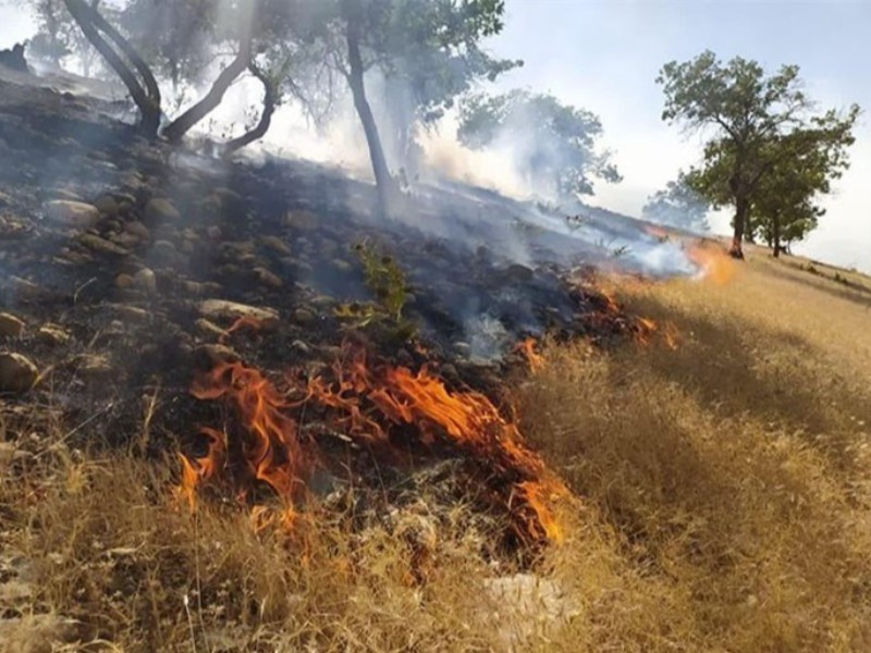 آتش سوزی جنگل‌های هلیلان مهار شد