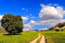 فصل مراقبت؛ بانگ آرام طبیعت را بشنویم