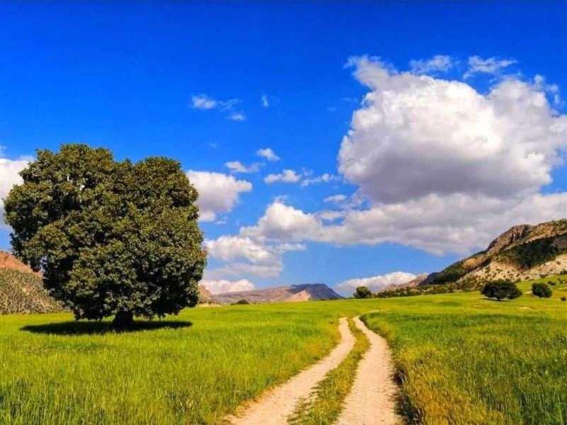 فصل مراقبت؛ بانگ آرام طبیعت را بشنویم