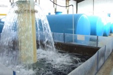 بازدید نماینده مردم ایلام از تصفیه‌خانه آب ملکشاهی