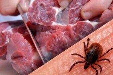 ۷۰ کانون تب کریمه در ایلام شناسایی شد