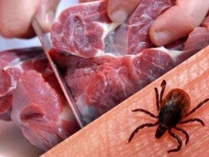 ۷۰ کانون تب کریمه در ایلام شناسایی شد