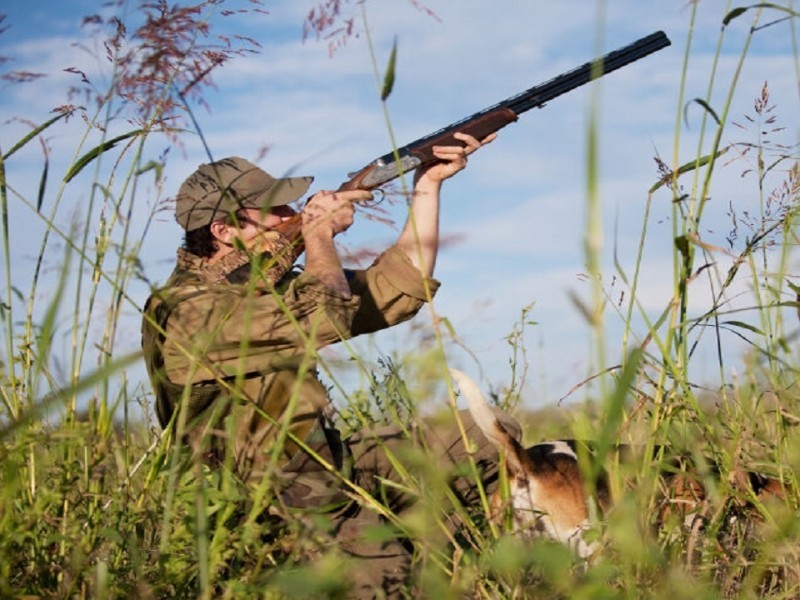 شکارچی متخلف در ایلام دستگیر شد