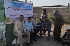 جمع‌آوری ۲ میلیارد ریال زکات مستحبی کلزا در دره‌شهر