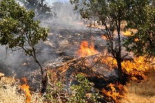 آتش‌سوزی ارتفاعات ایوان مهار شد