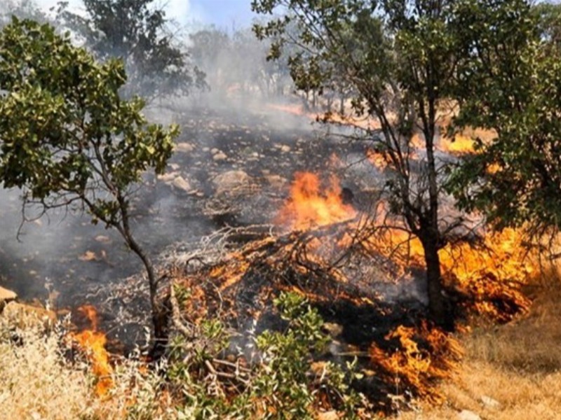 آتش‌سوزی ارتفاعات ایوان مهار شد