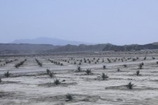 پشت پرده سفر پرحاشیه مقامات ایلام به جاسک