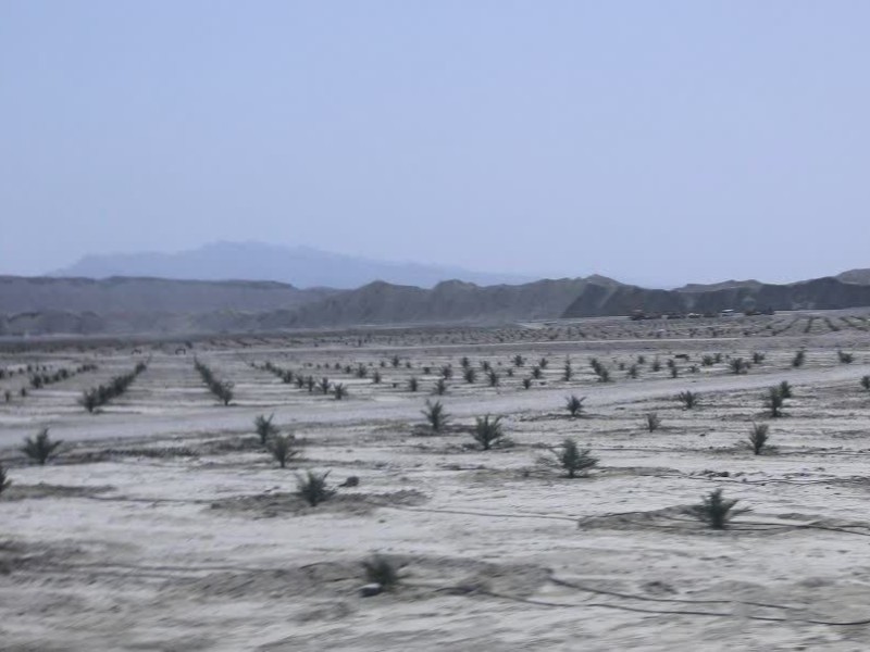 پشت پرده سفر پرحاشیه مقامات ایلام به جاسک