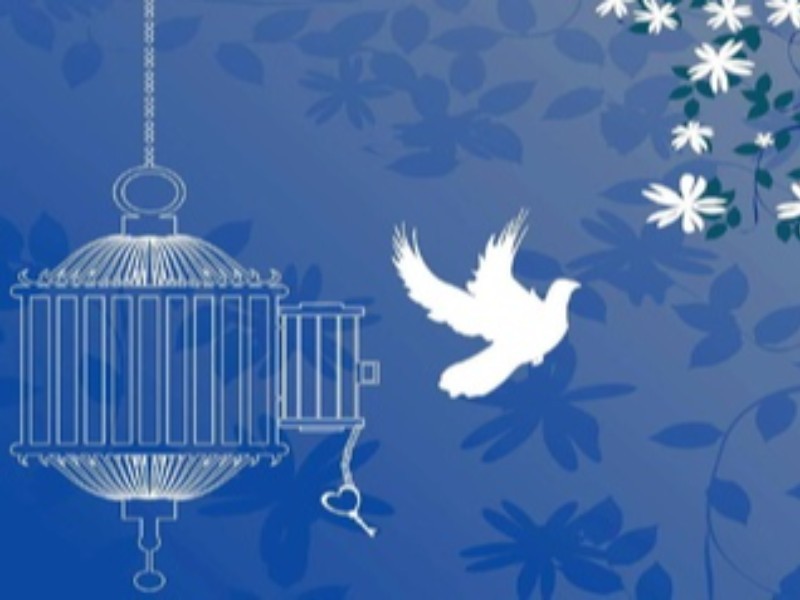 آزادی ۱۵۷ زندانی در ایلام با حمایت خیرین