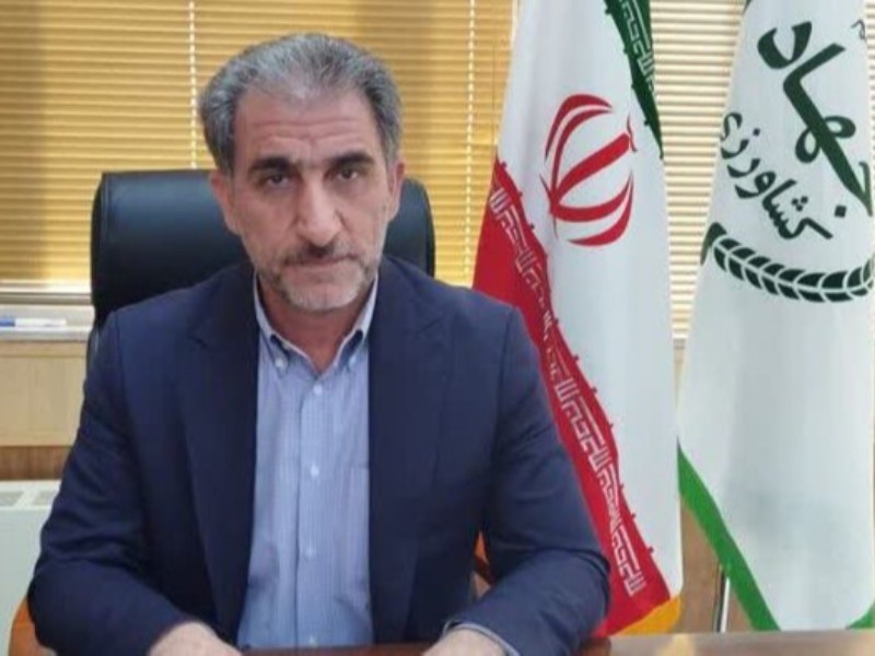 توسعه کشاورزی هوشمند در ایلام