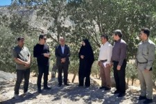 گامی بلند برای توسعه ورزش ایوان