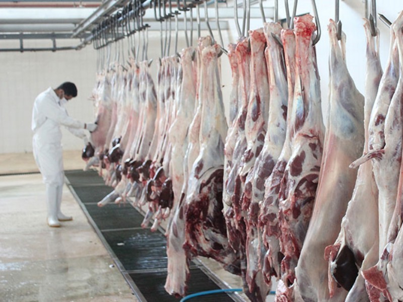 طرح نظارت دامپزشکی ایلام در عید قربان ۱۴۰۴