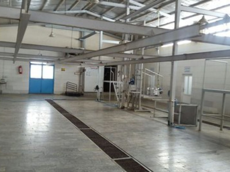 فعالیت دوباره کشتارگاه ایوان