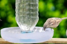 طبیعت ایلام در آغوش مهربانی کوهنوردان