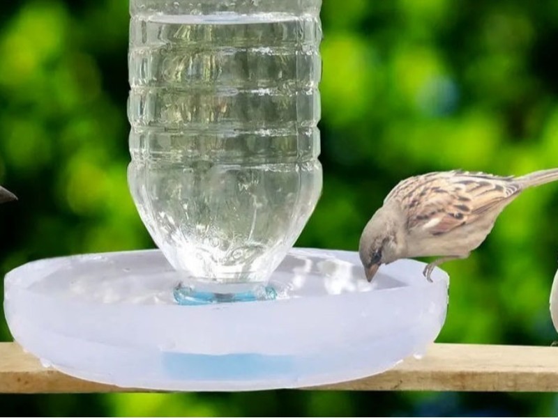 طبیعت ایلام در آغوش مهربانی کوهنوردان