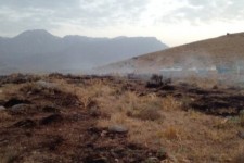 آتش‌سوزی جنگل‌های «بان‌سر» ایلام مهار شد