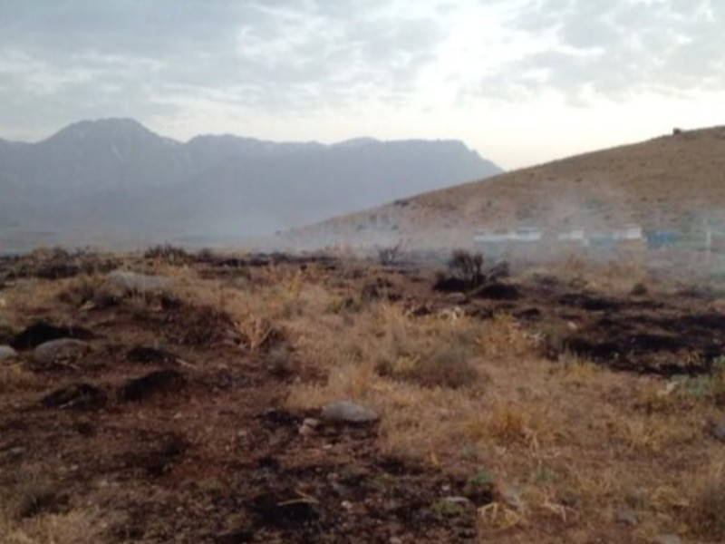 آتش‌سوزی جنگل‌های «بان‌سر» ایلام مهار شد