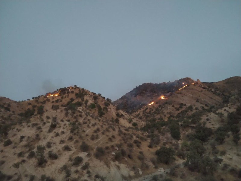 شعله‌های جنگل‌های بانروشان مهار شد