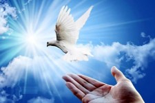 آزادی ۸ محکوم مالی در ایلام با مشارکت خیرین