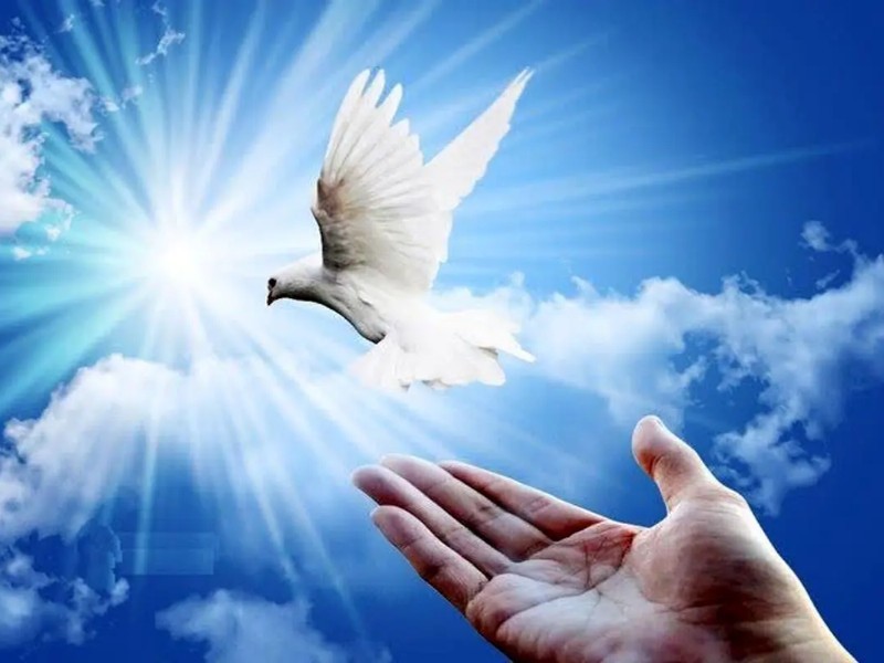 آزادی ۸ محکوم مالی در ایلام با مشارکت خیرین