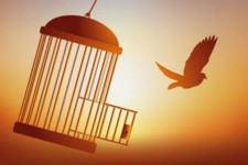 آزادی ۵ زندانی جرائم غیرعمد در روز عاشورا