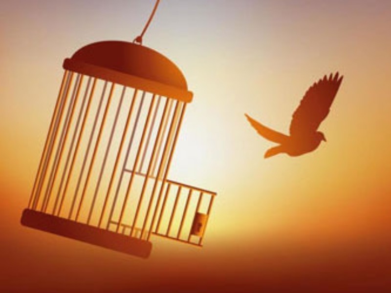 آزادی ۵ زندانی جرائم غیرعمد در روز عاشورا