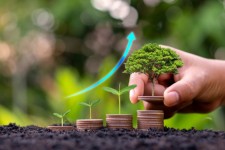 ایلام ظرفیت‌های خوبی برای توسعه باغات دارد