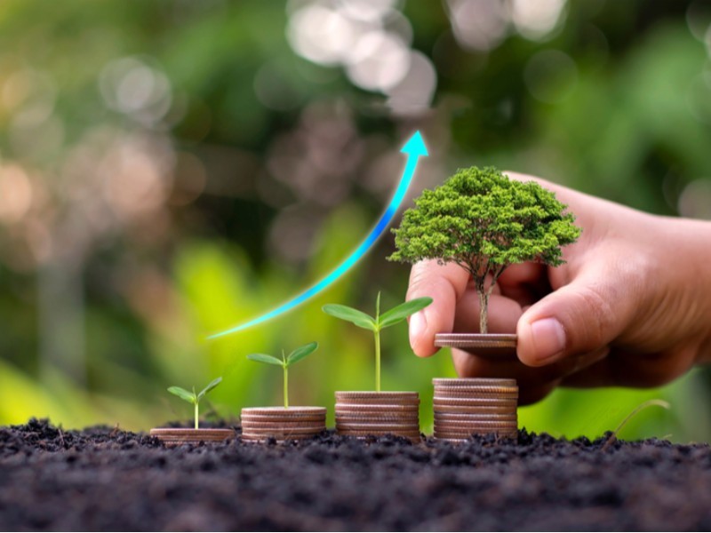 ایلام ظرفیت‌های خوبی برای توسعه باغات دارد