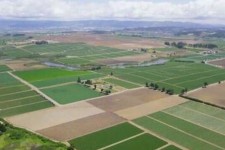 تعیین تکلیف ۲۵ پلاک ثبتی در ایلام