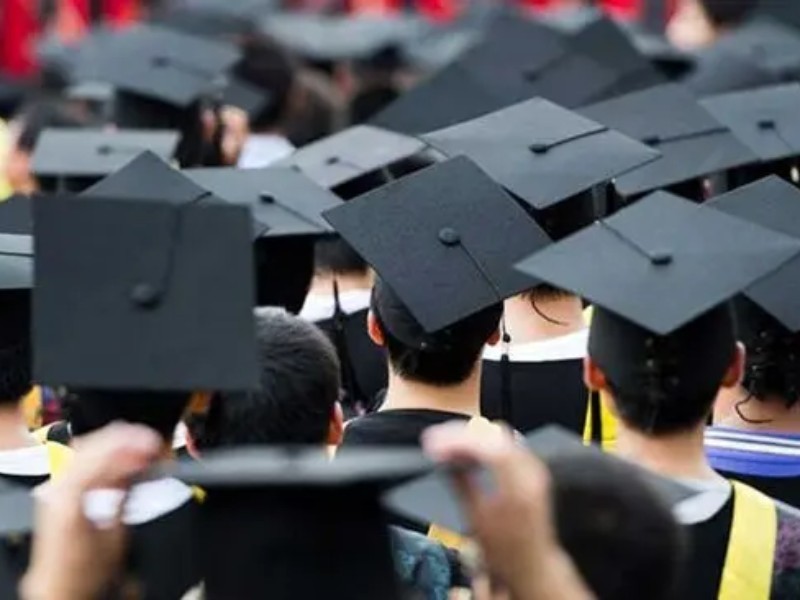 بازار بی‌نیاز از دانشگاه؛ چالش توسعه ایلام