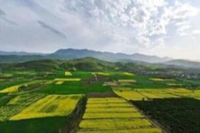 واگذاری ۷۷ هکتار اراضی ملی ایلام در سه‌ماه