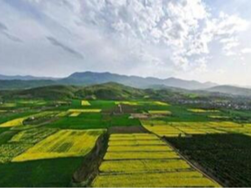 واگذاری ۷۷ هکتار اراضی ملی ایلام در سه‌ماه