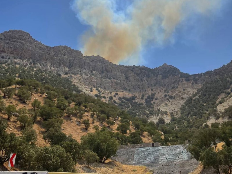 تلاش برای مهار آتش در ارتفاعات گچان ادامه دارد