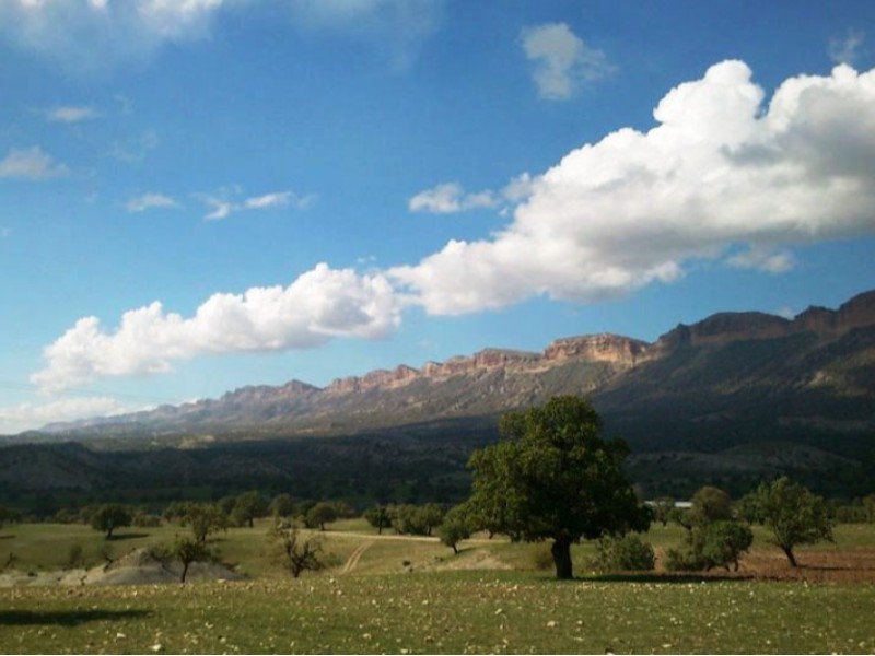 طبیعت زیبای چوار، نگین سبز ایلام