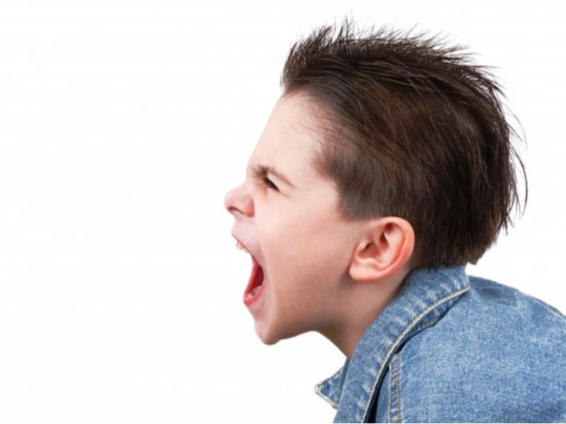 خشونت خانگی، زخمی بر پیکر جامعهٔ امروز