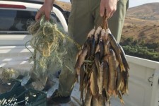 دستگیری ۴ صیاد غیرمجاز در دریاچه سد سیمره