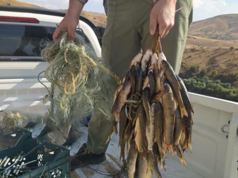 دستگیری ۴ صیاد غیرمجاز در دریاچه سد سیمره