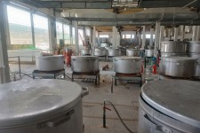 آغاز رسمی فعالیت موکب امیرالمؤمنین (ع) در مهران