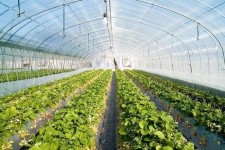 بهره‌برداری از ۵۱ طرح کشاورزی در ایلام