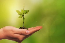 ضرورت تشکیل هیأت اندیشه‌ورز منابع طبیعی