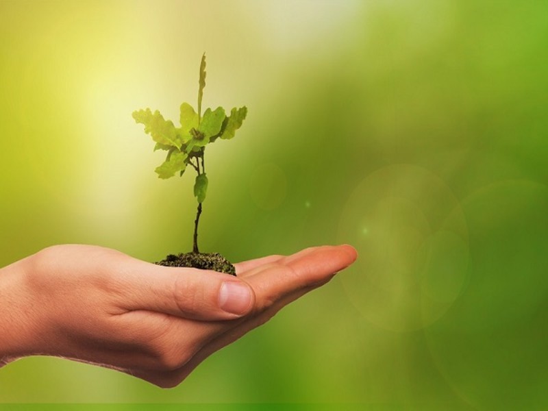 ضرورت تشکیل هیأت اندیشه‌ورز منابع طبیعی