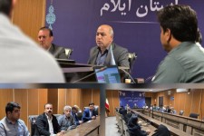 همدلی همکاران ضامن موفقیت سازمانی است