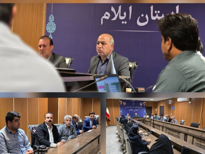 همدلی همکاران ضامن موفقیت سازمانی است