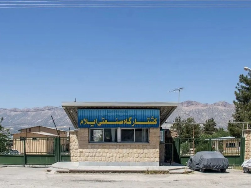 کلاف سردرگم واگذاری بزرگ‌ترین کشتارگاه غرب کشور