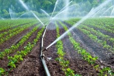 جایزه صرفه‌جویی آب به کشاورز ایلامی داده شد