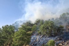 آتش‌سوزی گسترده در جنگل‌های «گاچال سۆەرگری» ایوان