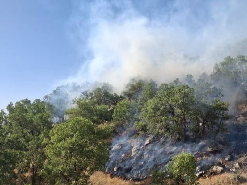 آتش‌سوزی گسترده در جنگل‌های «گاچال سۆەرگری» ایوان