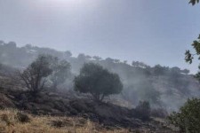 آتش‌سوزی جنگل‌های ایوان مهار شد